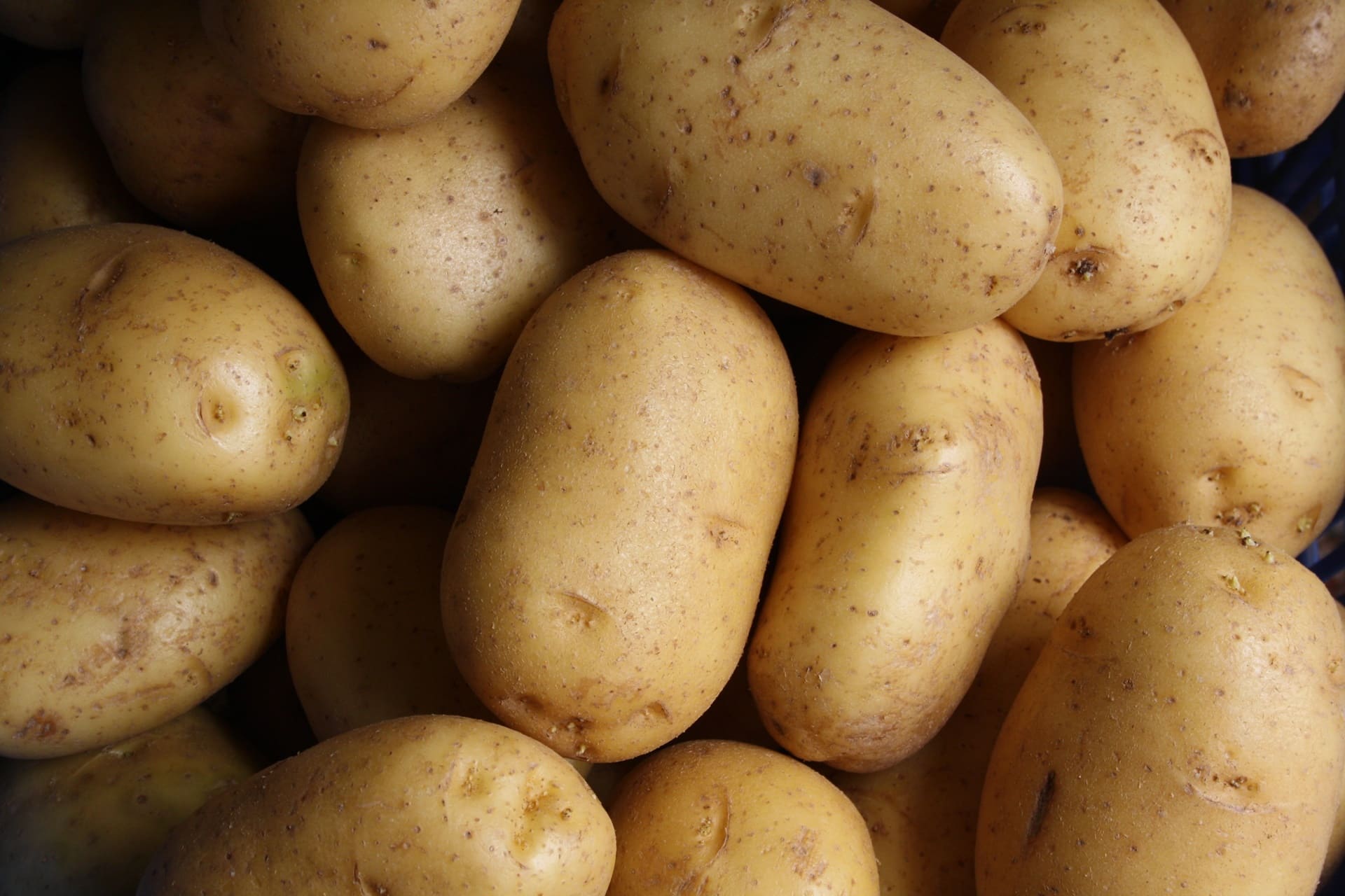 United States, potato exports: $2.2 billion